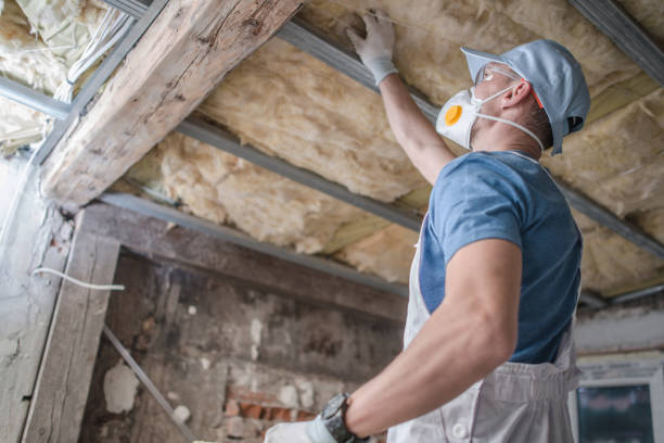 Best Insulation Materials and Products in Auburn, WA